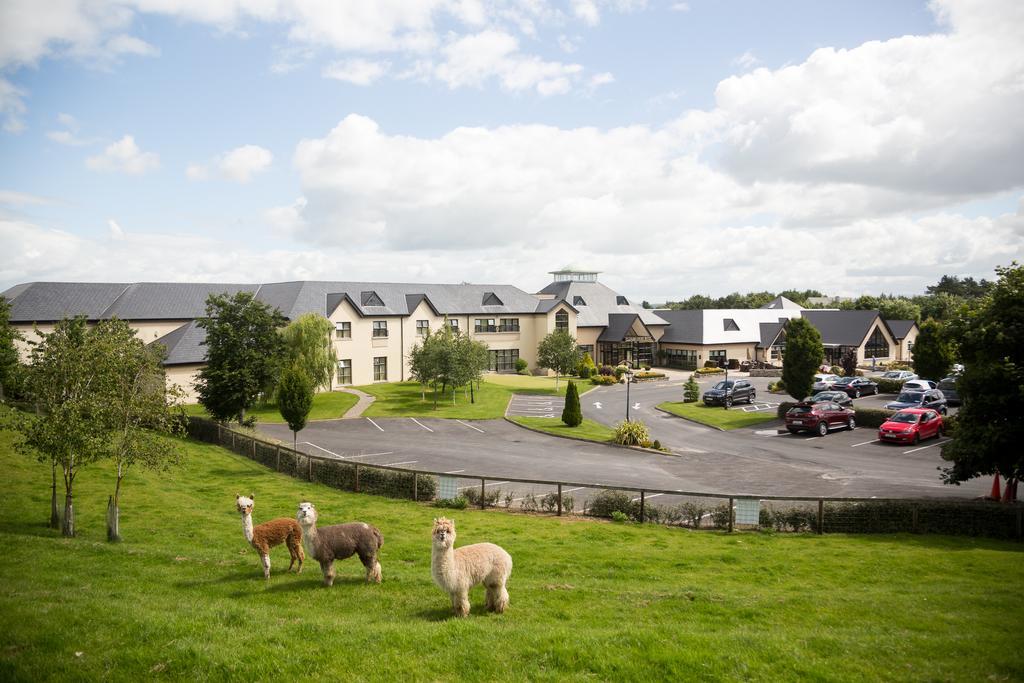 Clanard Court Hotel Athy Exterior photo