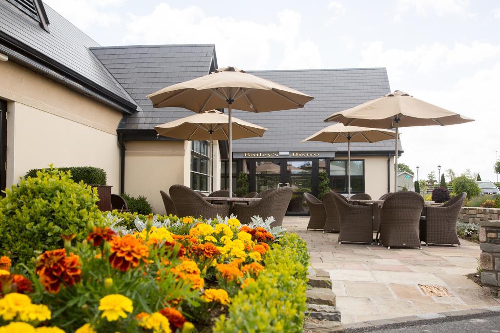 Clanard Court Hotel Athy Exterior photo